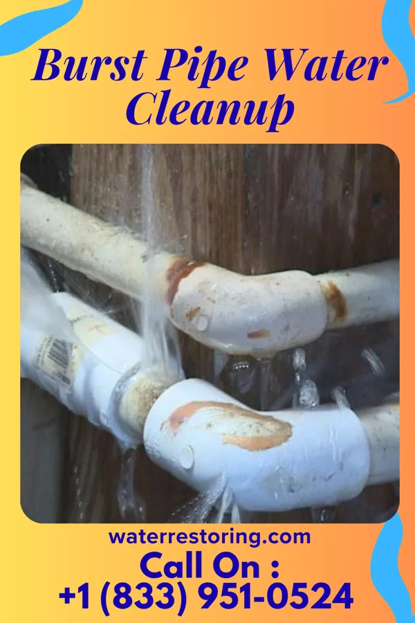 Burst Pipe Water Cleanup in Nassau Bay, TX
